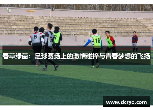 春草绿茵：足球赛场上的激情碰撞与青春梦想的飞扬