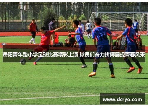 岳阳青年路小学足球比赛精彩上演 球员们奋力拼搏展现青春风采