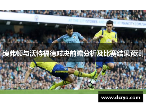 埃弗顿与沃特福德对决前瞻分析及比赛结果预测